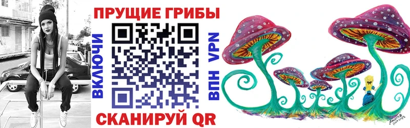 где продают   OMG ТОР  Галлюциногенные грибы ЛСД  Высоковск 